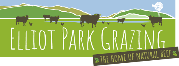 Elliot Park Grazing 